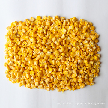 Frozen sweet corn whole